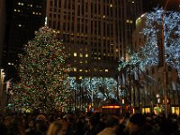 The Christmas tree of Rockefeller Center