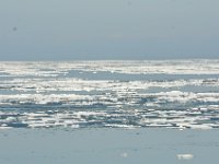 2015 02 22 Ice on the sound, an almost polar scenery